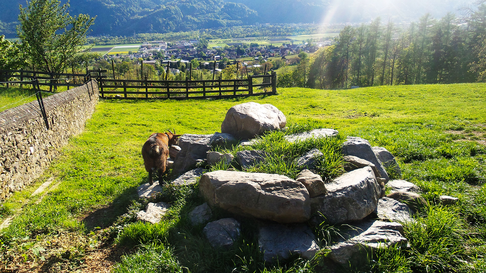 Heidiland-Switzerland